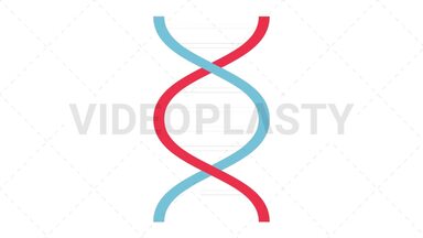 DNA Flat Icon Stock Animation
