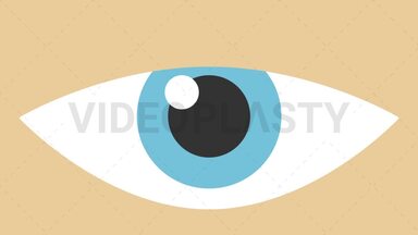 Eye Blinking Stock Animation