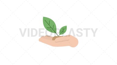 Hand Holding Leaf Stock Animation
