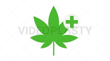 Marijuana Leaf Stock Animation