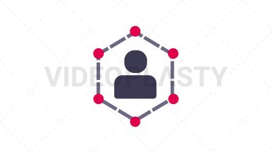 Network Icon Stock Animation