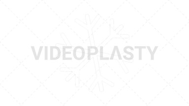 Snowflake Icon Stock Animation