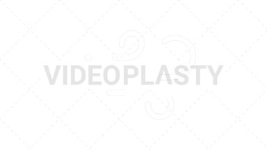 Windy Icon Stock Animation