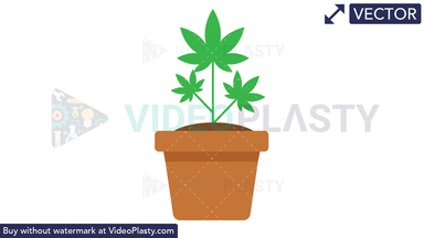 Marijuana Plant Vector Clipart